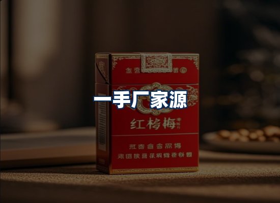 专业团队办公环境